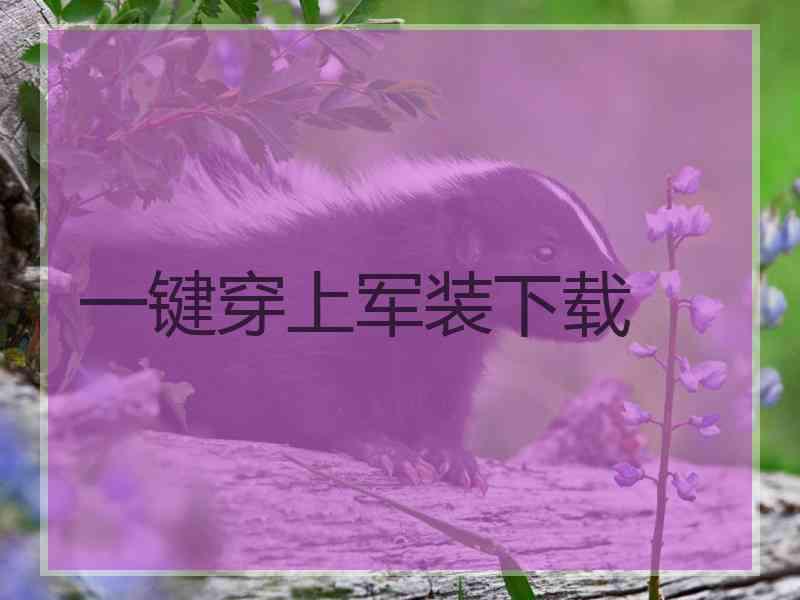 一键穿上军装下载