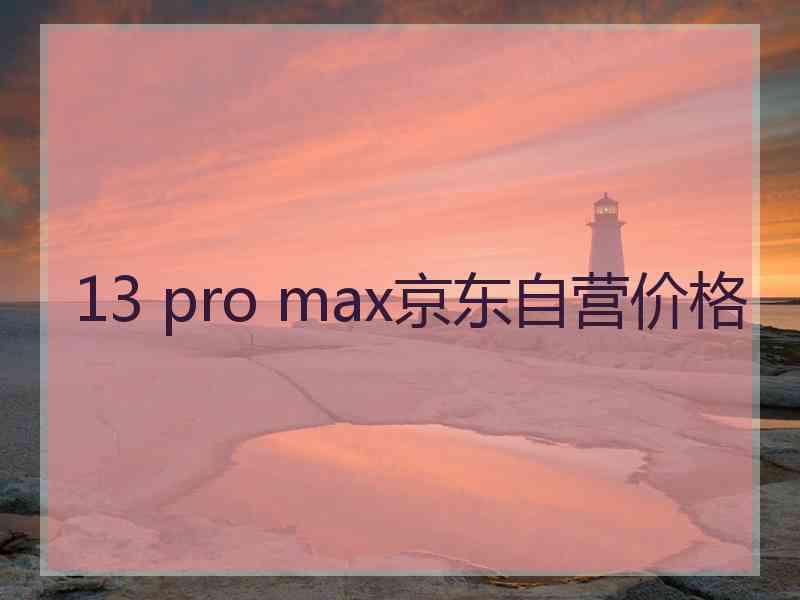 13 pro max京东自营价格