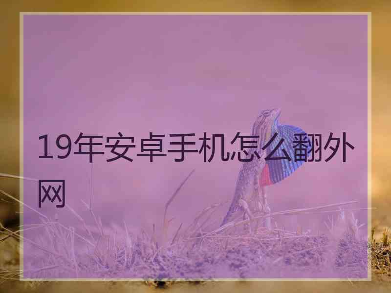 19年安卓手机怎么翻外网