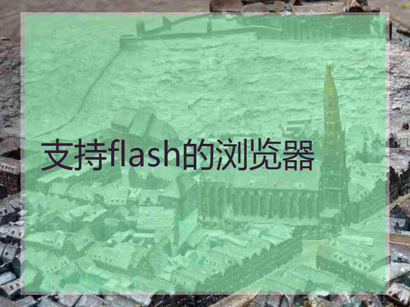 支持flash的浏览器