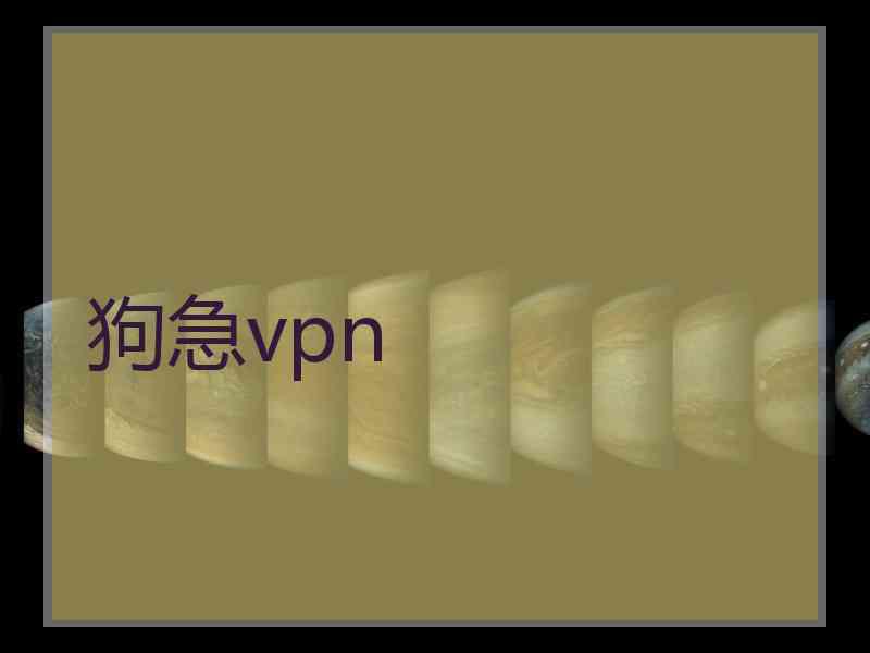 狗急vpn