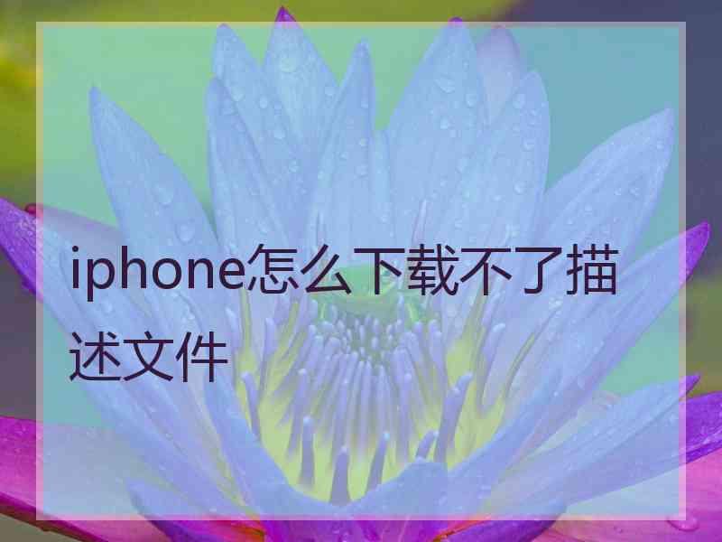 iphone怎么下载不了描述文件