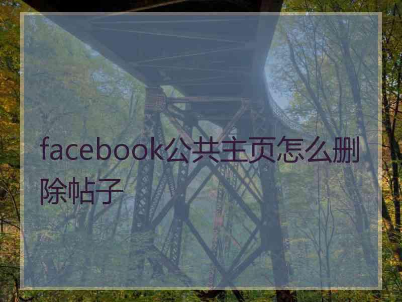 facebook公共主页怎么删除帖子