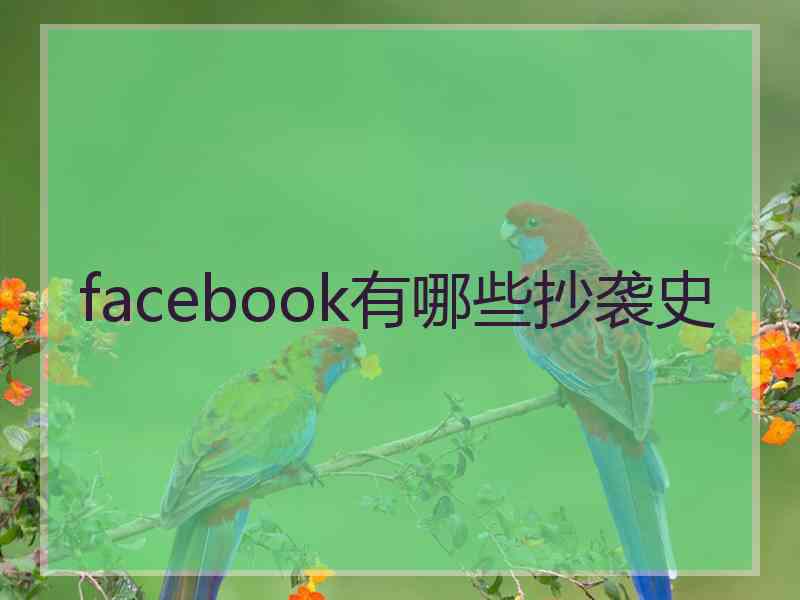 facebook有哪些抄袭史