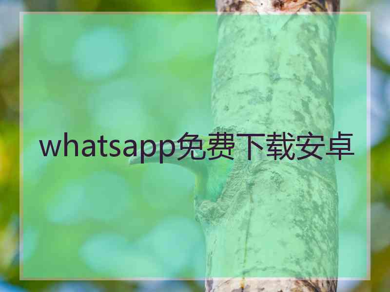 whatsapp免费下载安卓