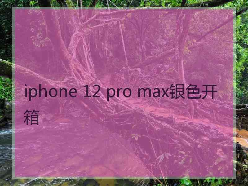 iphone 12 pro max银色开箱