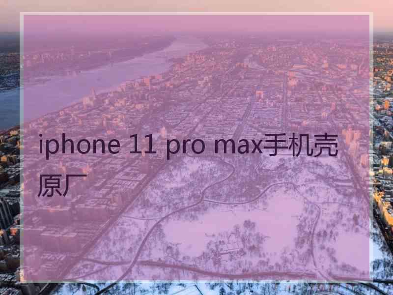 iphone 11 pro max手机壳原厂