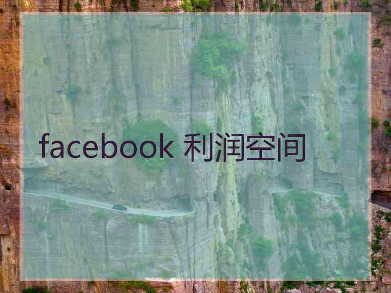 facebook 利润空间