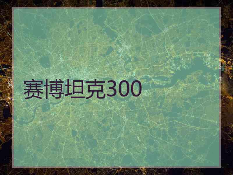 赛博坦克300