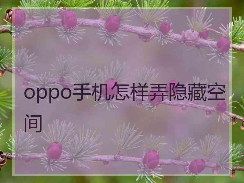 oppo手机怎样弄隐藏空间