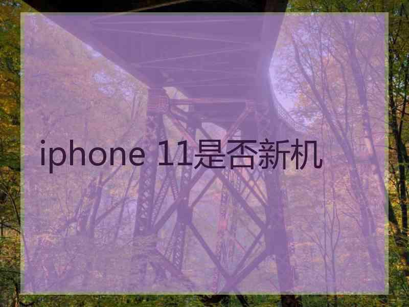 iphone 11是否新机