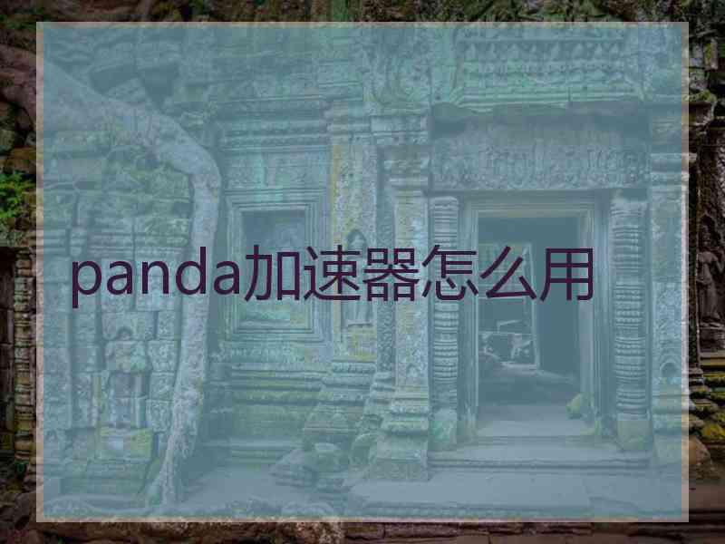 panda加速器怎么用