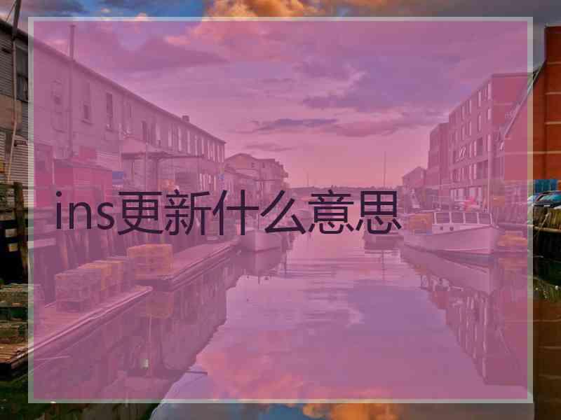 ins更新什么意思