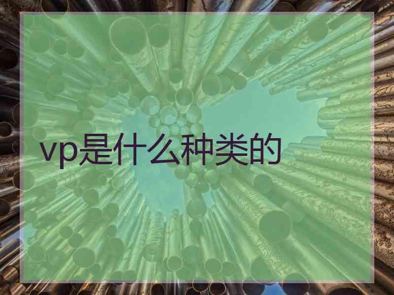 vp是什么种类的