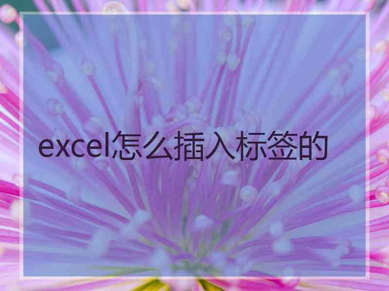 excel怎么插入标签的