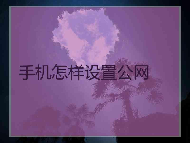 手机怎样设置公网