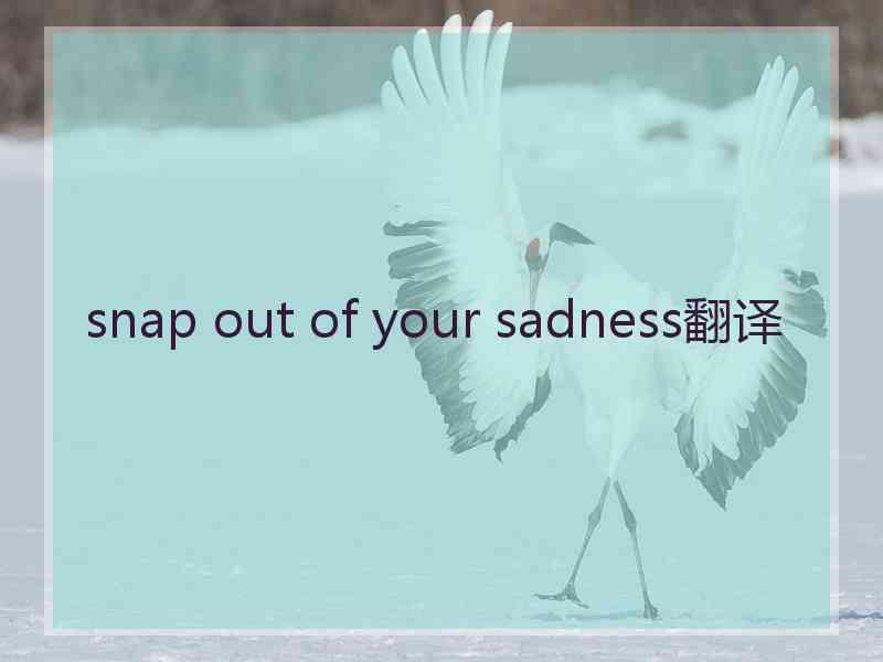 snap out of your sadness翻译