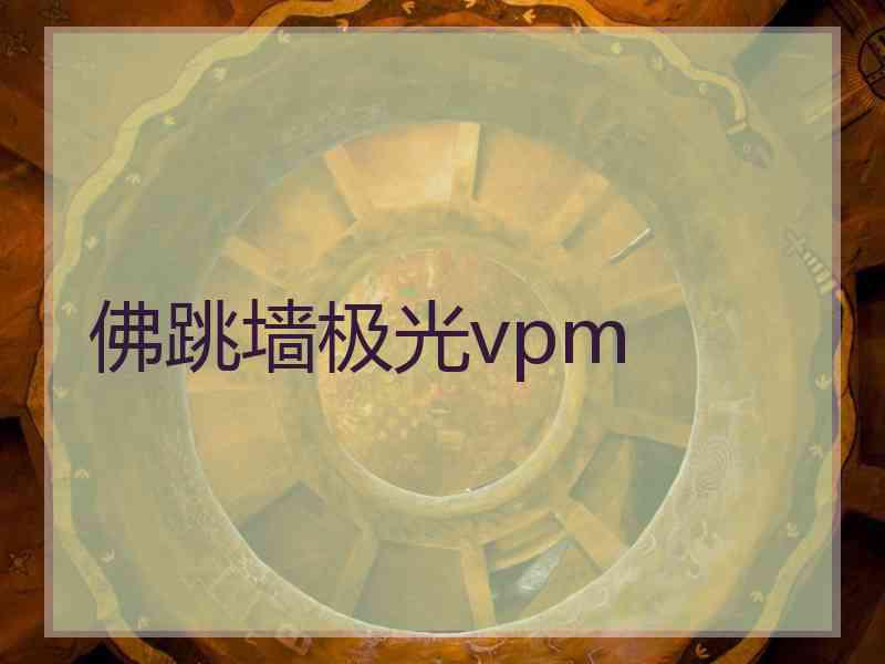 佛跳墙极光vpm