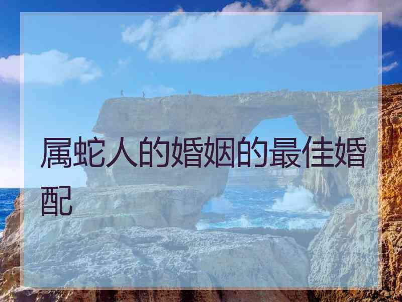 属蛇人的婚姻的最佳婚配