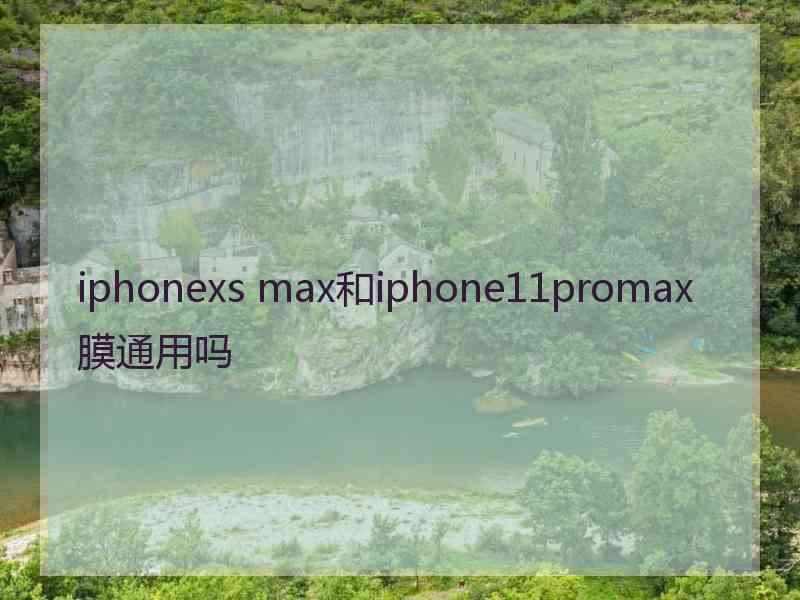 iphonexs max和iphone11promax膜通用吗