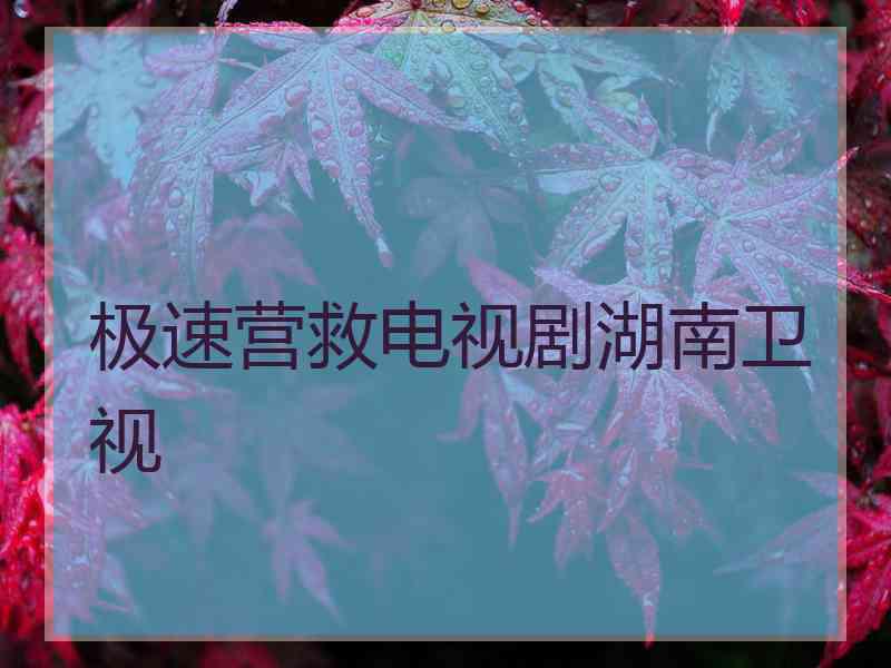 极速营救电视剧湖南卫视