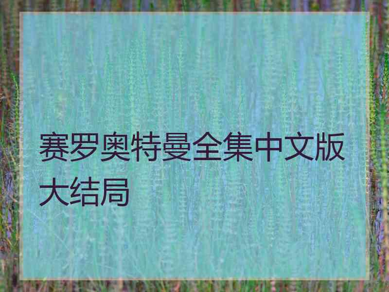 赛罗奥特曼全集中文版大结局