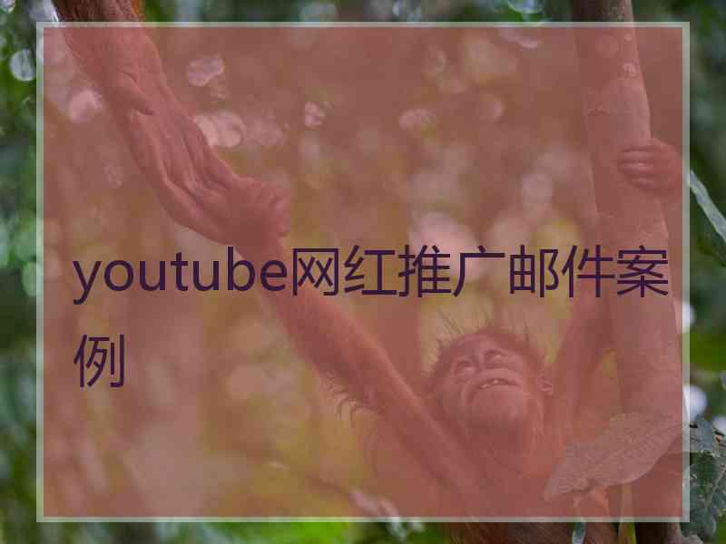 youtube网红推广邮件案例