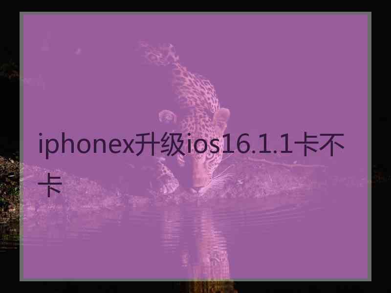 iphonex升级ios16.1.1卡不卡