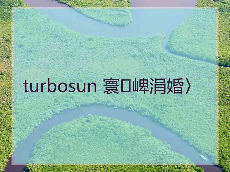 turbosun 寰崥涓婚〉