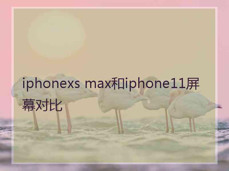 iphonexs max和iphone11屏幕对比