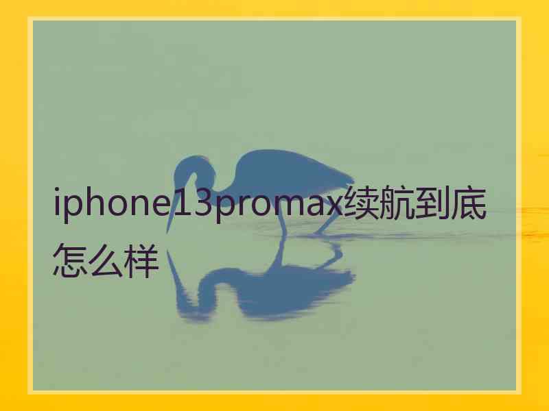 iphone13promax续航到底怎么样