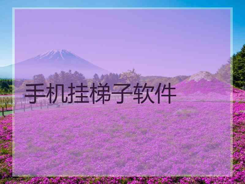 手机挂梯子软件