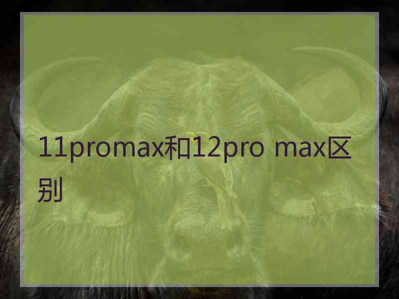 11promax和12pro max区别