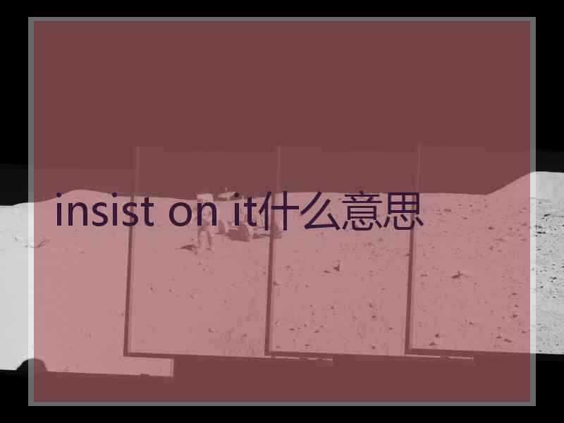 insist on it什么意思