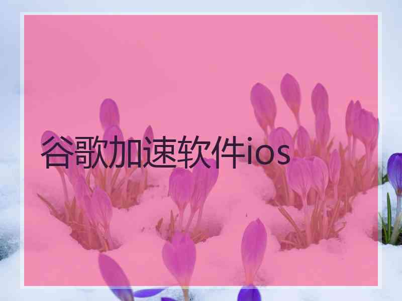 谷歌加速软件ios