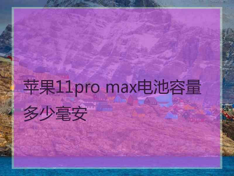 苹果11pro max电池容量多少毫安