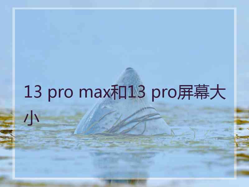 13 pro max和13 pro屏幕大小