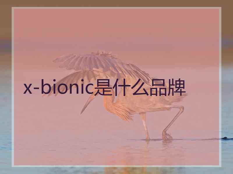 x-bionic是什么品牌