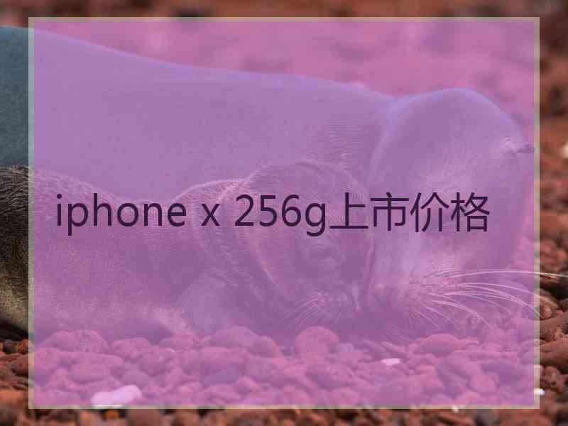 iphone x 256g上市价格