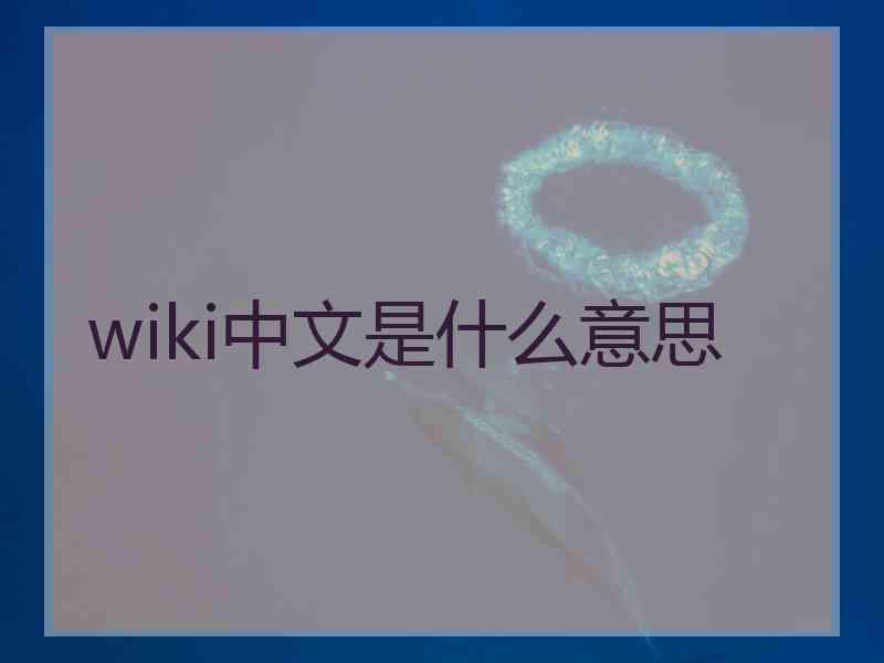 wiki中文是什么意思