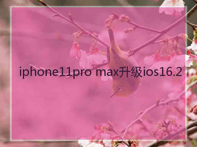 iphone11pro max升级ios16.2