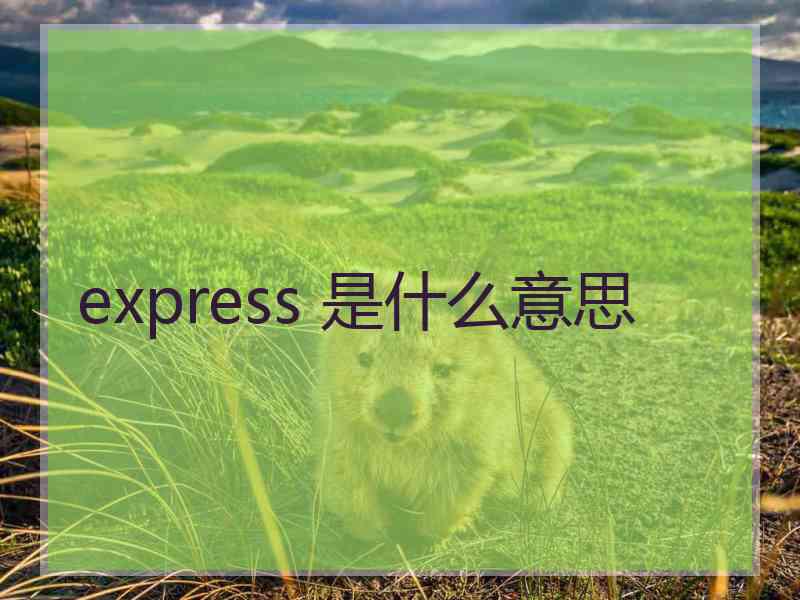 express 是什么意思