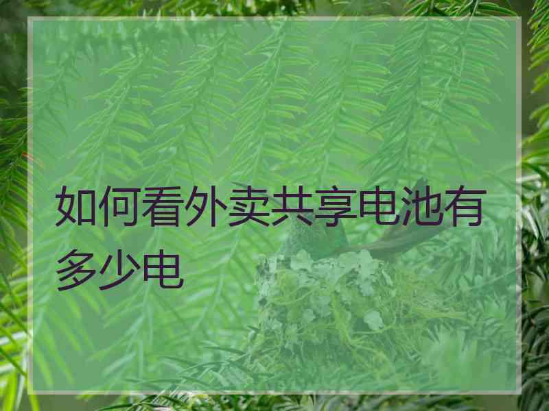 如何看外卖共享电池有多少电