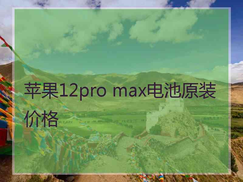 苹果12pro max电池原装价格