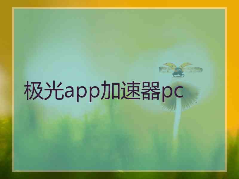 极光app加速器pc