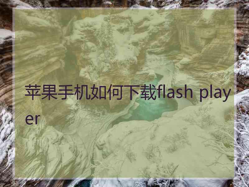 苹果手机如何下载flash player