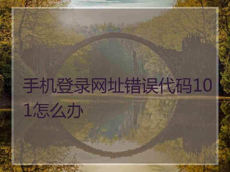 手机登录网址错误代码101怎么办