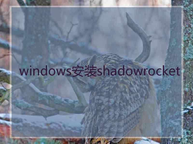 windows安装shadowrocket