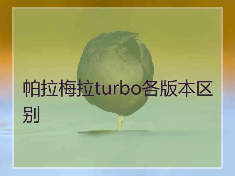 帕拉梅拉turbo各版本区别