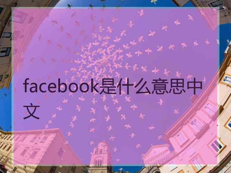 facebook是什么意思中文